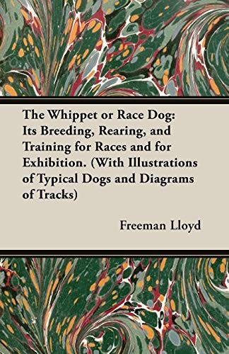 The whippet or race dog - or,