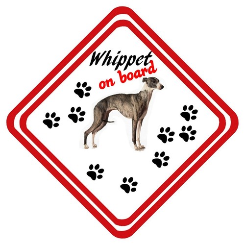 Insegna auto whippet board - insegna, on