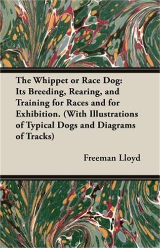 The whippet race dog - the, or